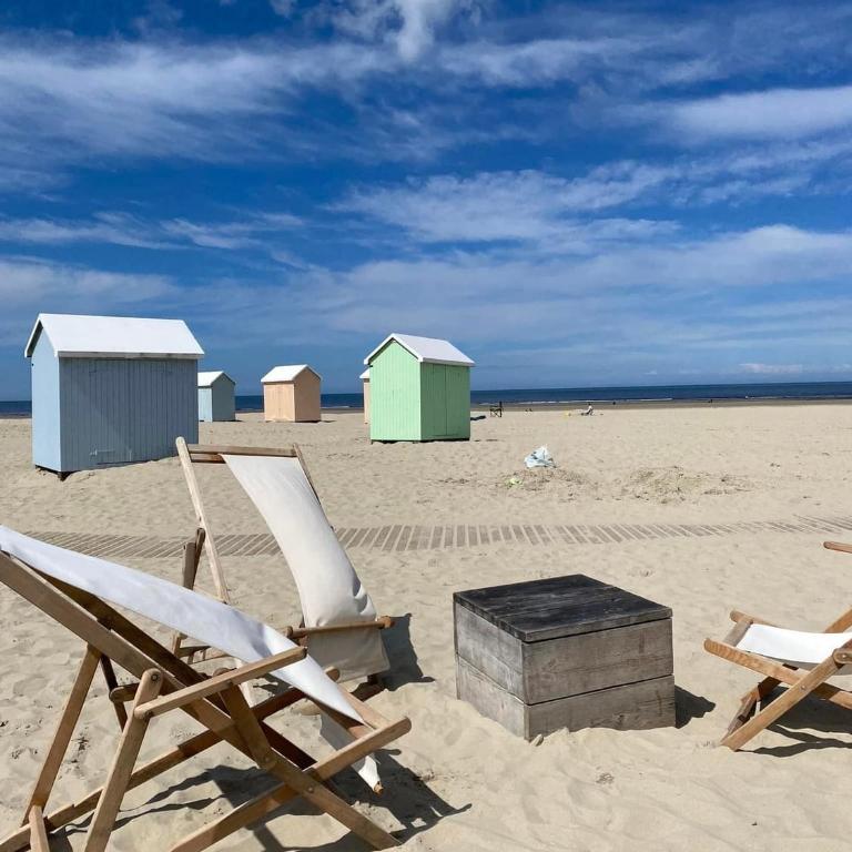 Les Terrasses du Phare, vue mer et accès direct plage, garage, accès PMR - Apartment mit Meerblick - 39