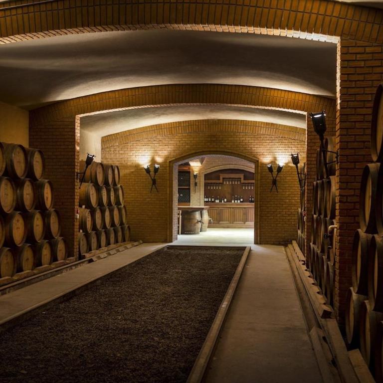 Departamento en Curicó en Condominio Portal Tutuquén a 10 min de todo - Apartamento - 8