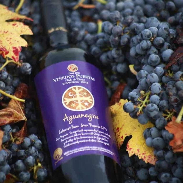 Departamento en Curicó en Condominio Portal Tutuquén a 10 min de todo - Apartamento - 21