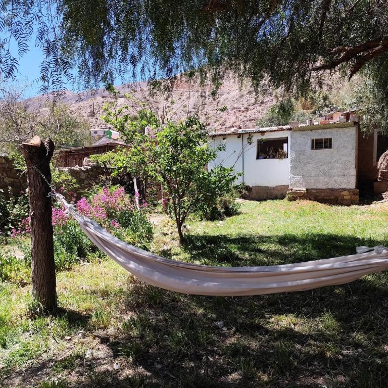 Casa de Altura - Casa con 1 dormitorio - 8