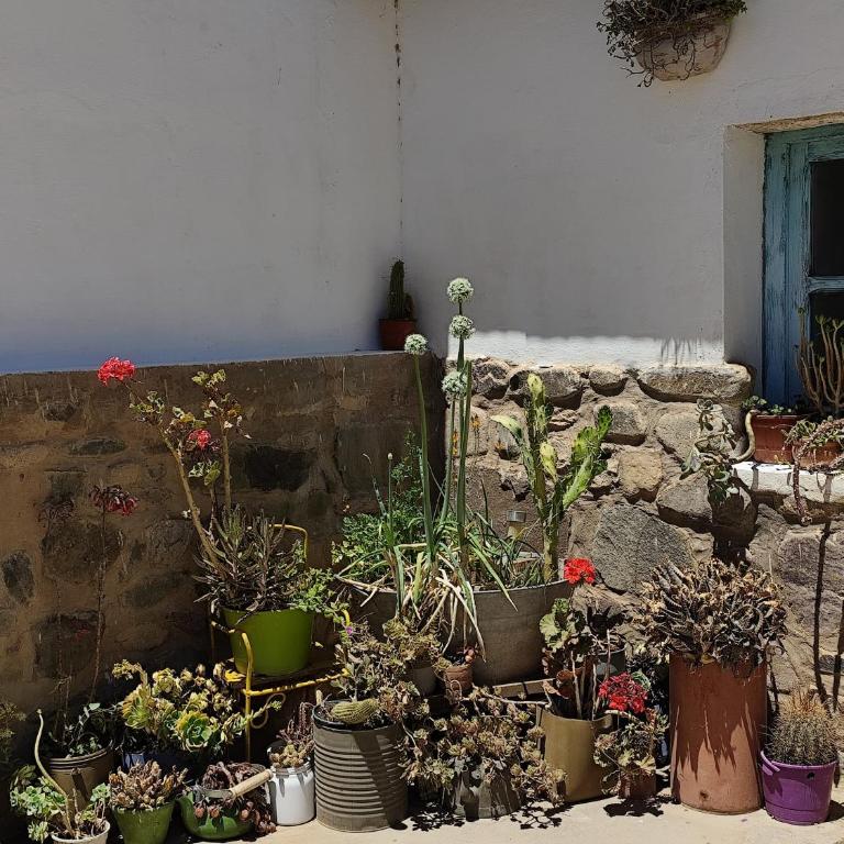 Casa de Altura - Casa con 1 dormitorio - 11