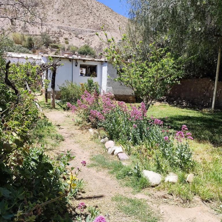 Casa de Altura - Casa con 1 dormitorio - 13