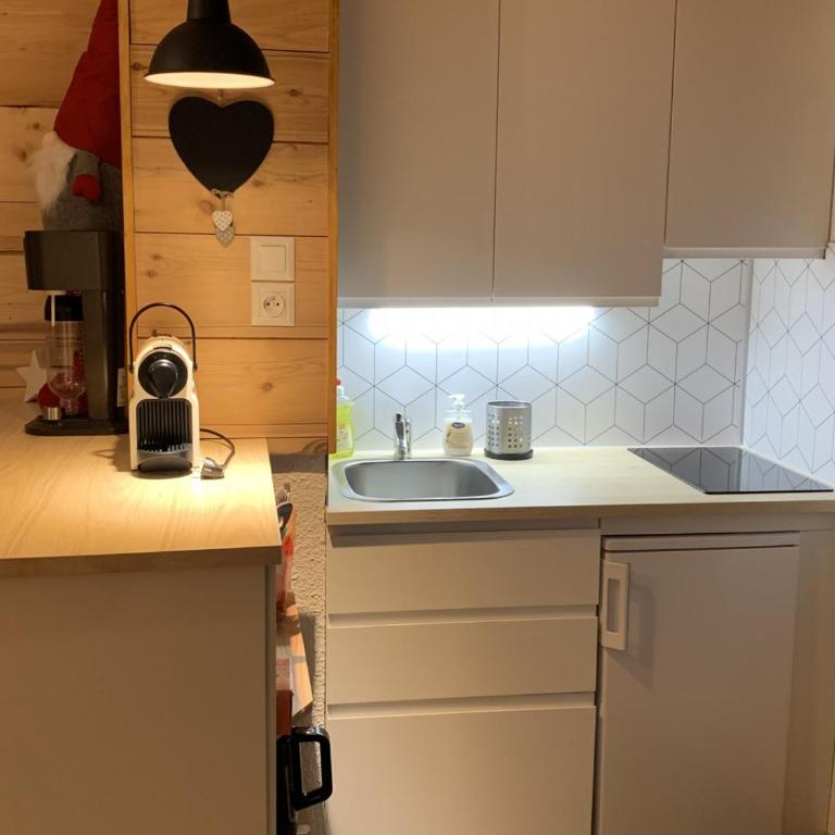 Studio confortable à Samoëns 1600 pour 4 personnes - FR-1-846-3 - Monolocale - 6