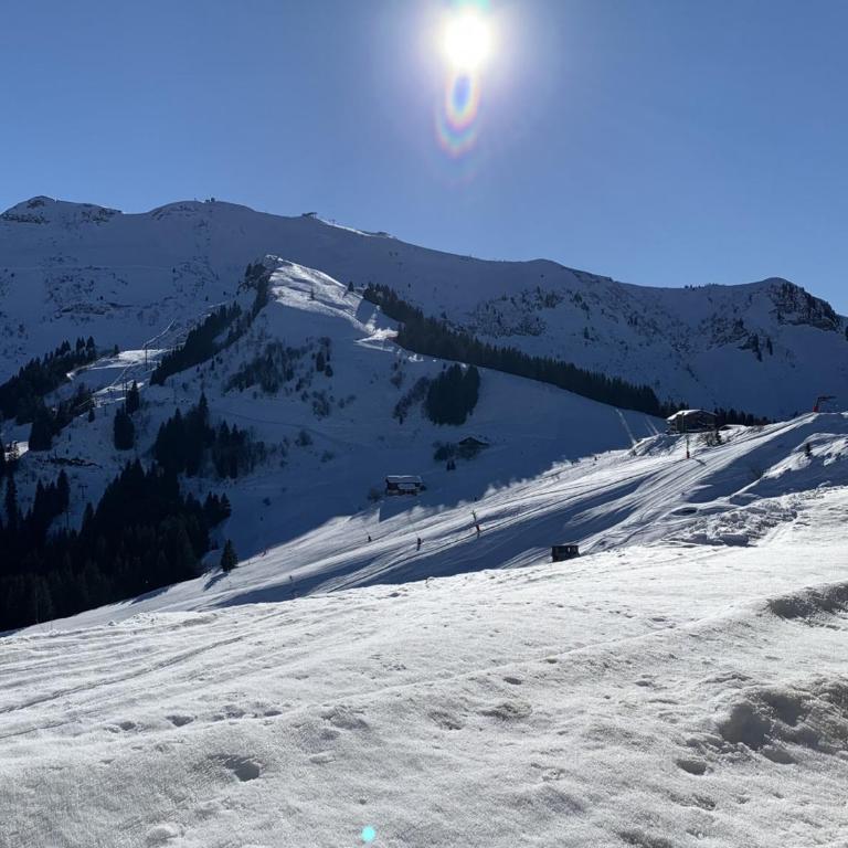 Studio confortable à Samoëns 1600 pour 4 personnes - FR-1-846-3 - Monolocale - 11