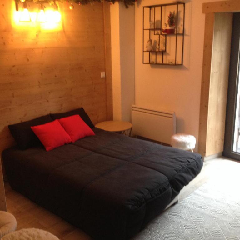 Studio cosy pour 4 à Samoëns - FR-1-846-4 - Studio - 5