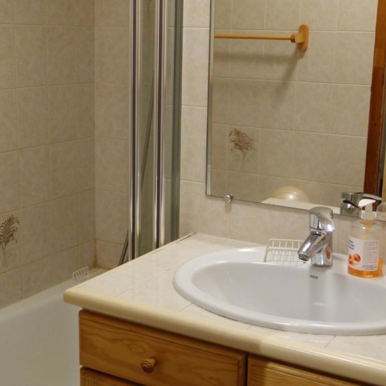 Appartement cosy 2 pièces avec Wifi à Samoëns - FR-1-846-10 - Studio - 12