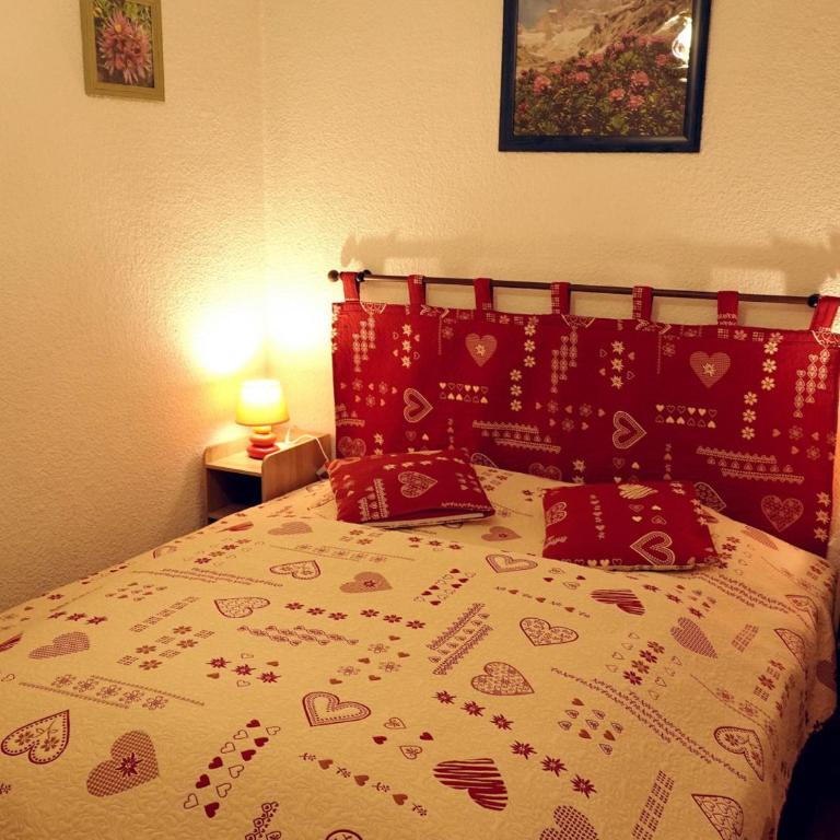 Appartement cosy 2 pièces avec Wifi à Samoëns - FR-1-846-10 - Studio - 22