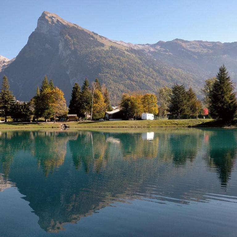 Appartement cosy 2 pièces avec Wifi à Samoëns - FR-1-846-10 - Studio - 23