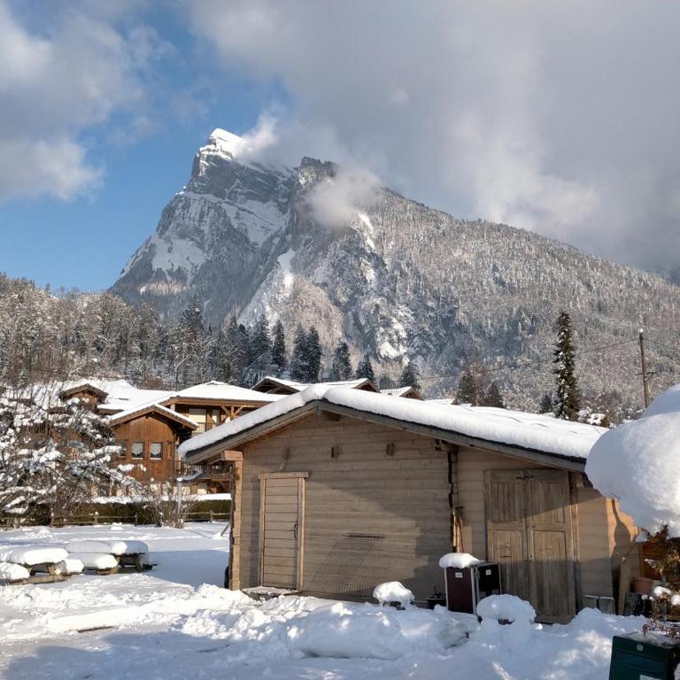 Appartement cosy 2 pièces avec Wifi à Samoëns - FR-1-846-10 - Studio - 24