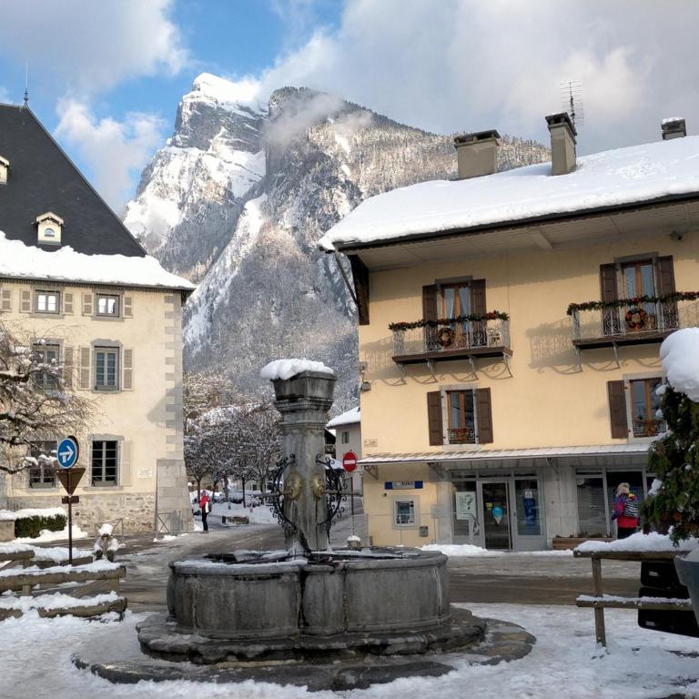 Appartement cosy 2 pièces avec Wifi à Samoëns - FR-1-846-10 - Studio - 25