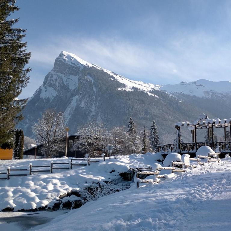 Appartement cosy 2 pièces avec Wifi à Samoëns - FR-1-846-10 - Studio - 28