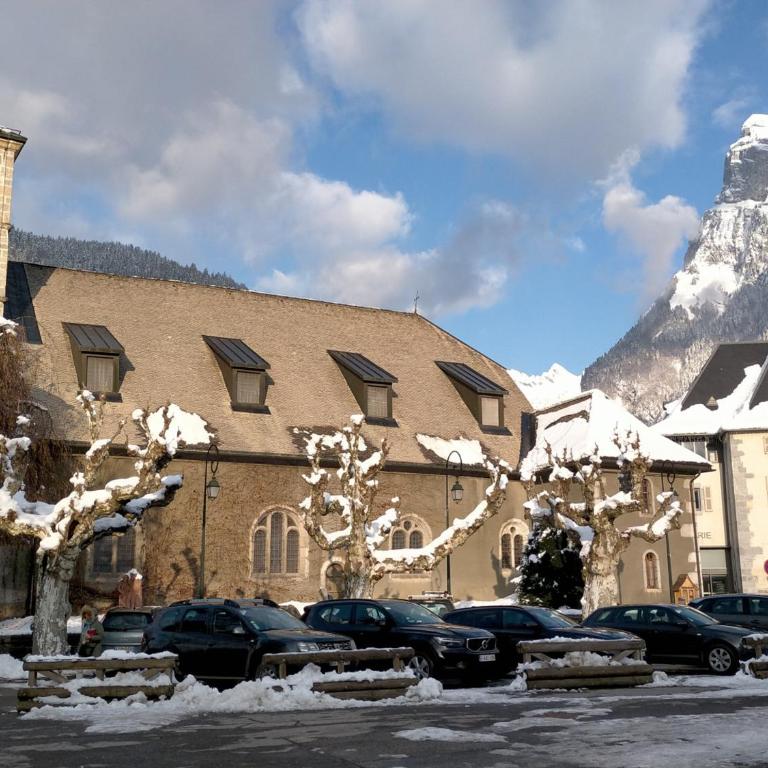 Appartement cosy 2 pièces avec Wifi à Samoëns - FR-1-846-10 - Studio - 34