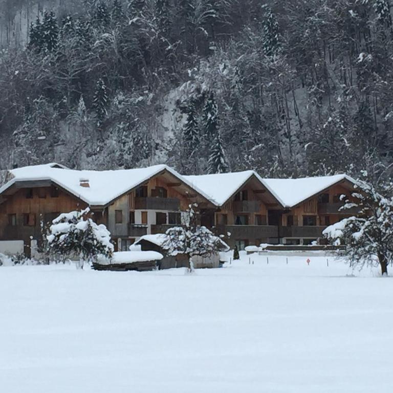 Charmant appartement 3 chambres à Samoëns avec Wifi - FR-1-846-15 - Studio - 1