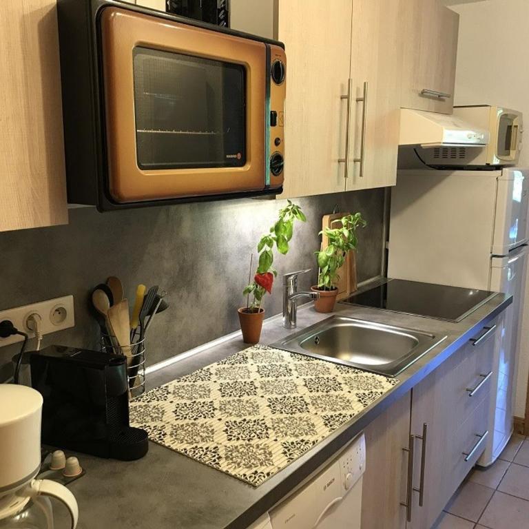 Charmant appartement avec WiFi à Samoëns - FR-1-846-20 - Monolocale - 3