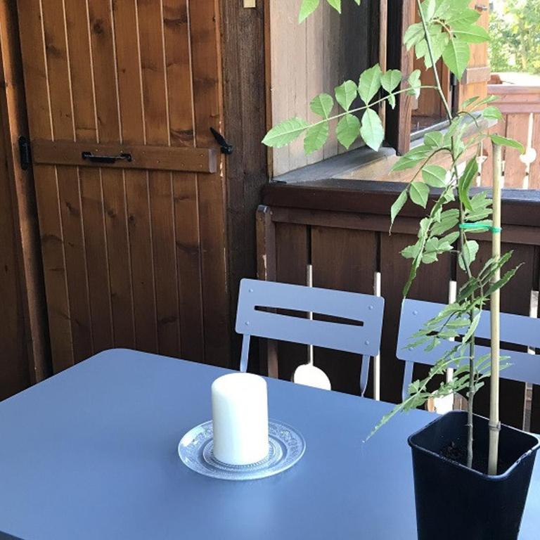Charmant appartement avec WiFi à Samoëns - FR-1-846-20 - Monolocale - 20