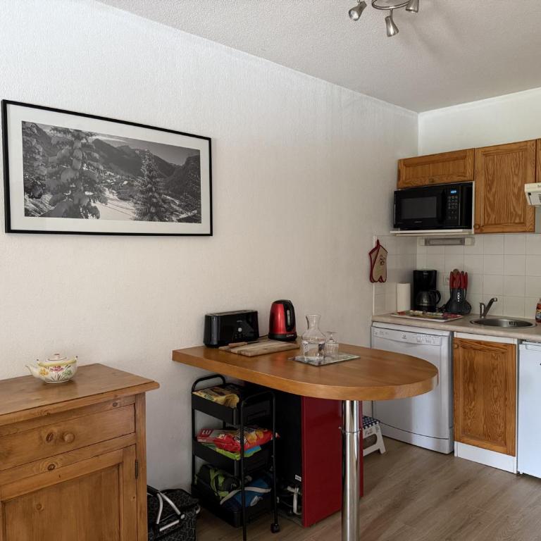 Appartement cosy 1 chambre - Samoëns - Wifi - FR-1-846-25 - Studio - 1
