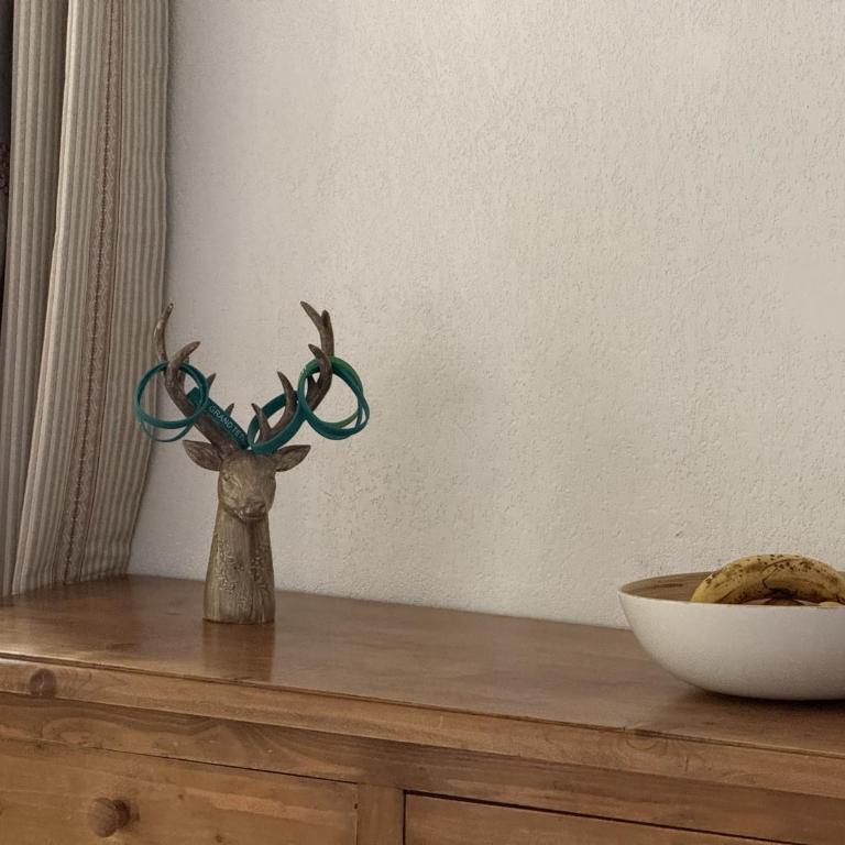 Appartement cosy 1 chambre - Samoëns - Wifi - FR-1-846-25 - Studio - 7