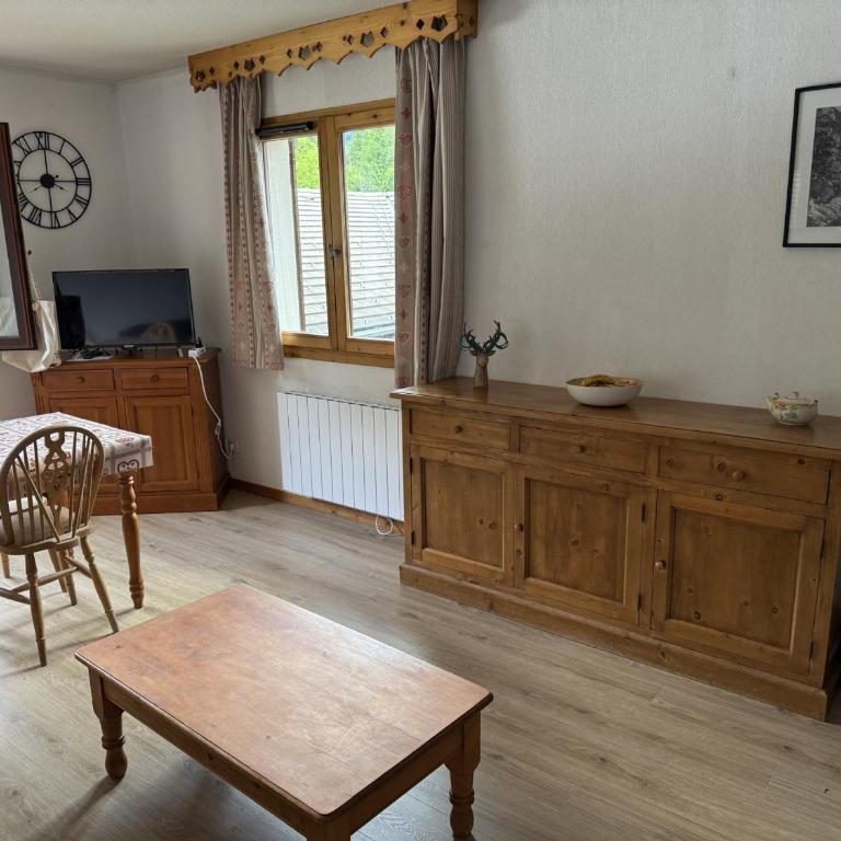 Appartement cosy 1 chambre - Samoëns - Wifi - FR-1-846-25 - Studio - 15