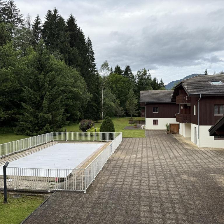 Appartement cosy 1 chambre - Samoëns - Wifi - FR-1-846-25 - Studio - 17