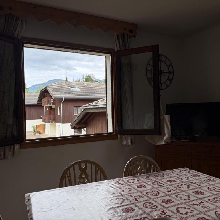 Appartement cosy 1 chambre - Samoëns - Wifi - FR-1-846-25 - Studio - 18