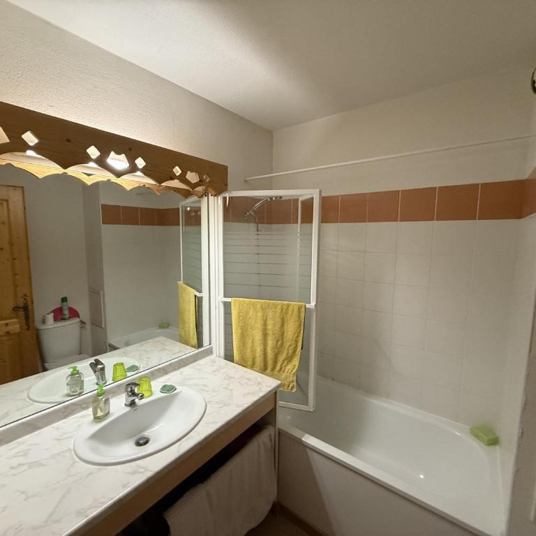 Appartement cosy 1 chambre - Samoëns - Wifi - FR-1-846-25 - Studio - 21