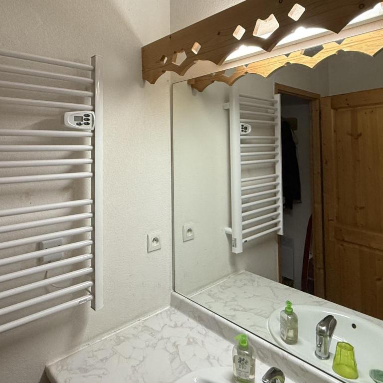 Appartement cosy 1 chambre - Samoëns - Wifi - FR-1-846-25 - Studio - 23