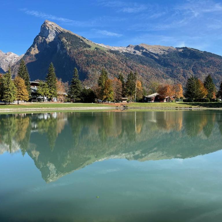 Appartement spacieux à Samoëns - 8 personnes avec Wifi - FR-1-846-38 - Studio - 10
