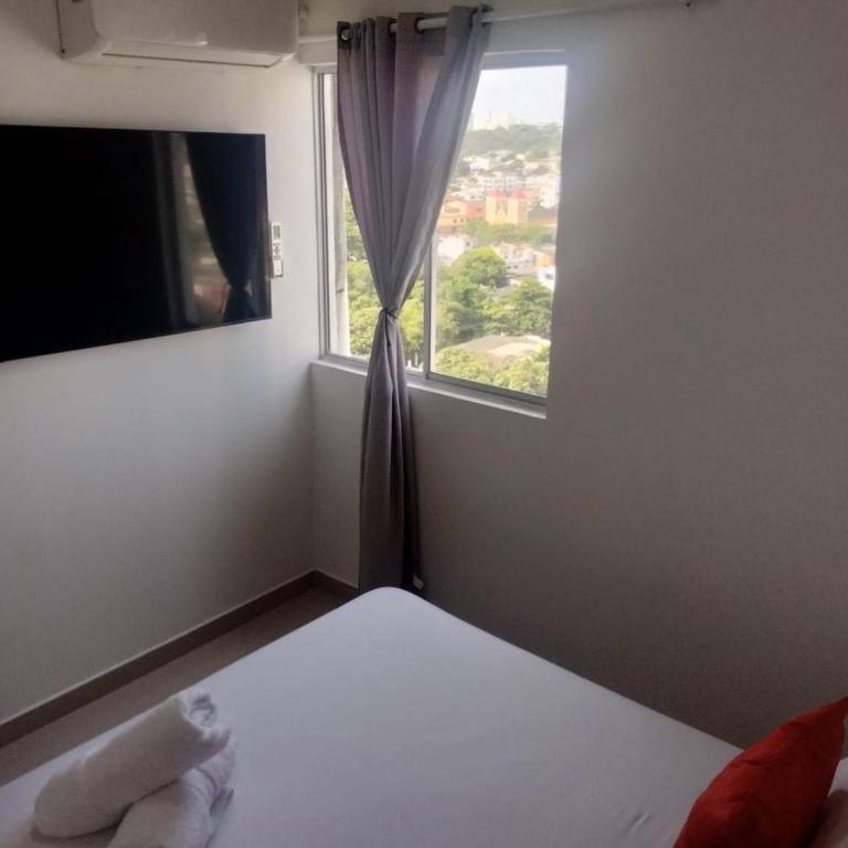 Great and affordable - Apartment with Mountain View - 14