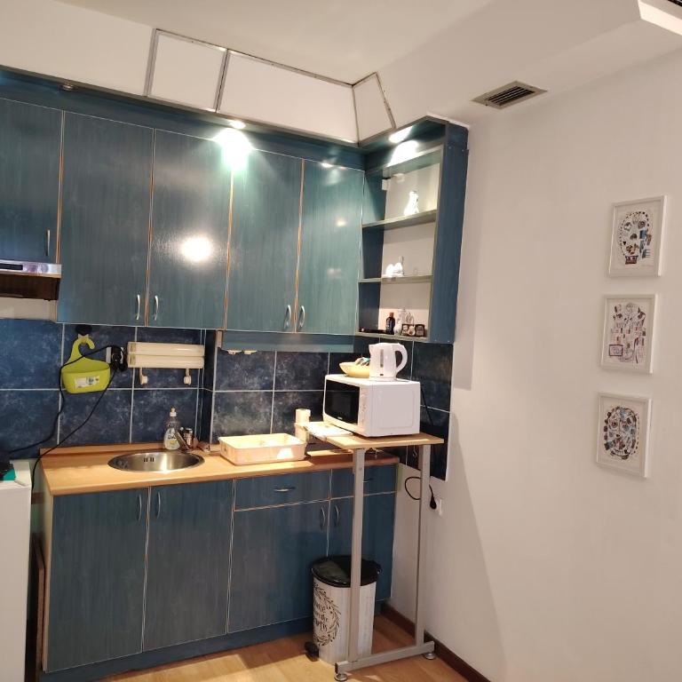 Dorcol-Basic Apartman - Apartman sa 1 Spavaćom Sobom - 3