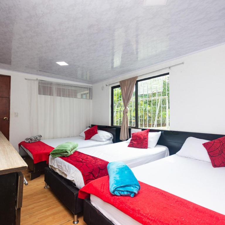 Finca Hotel Santo Tomas El Oasis - Habitación Triple - 2