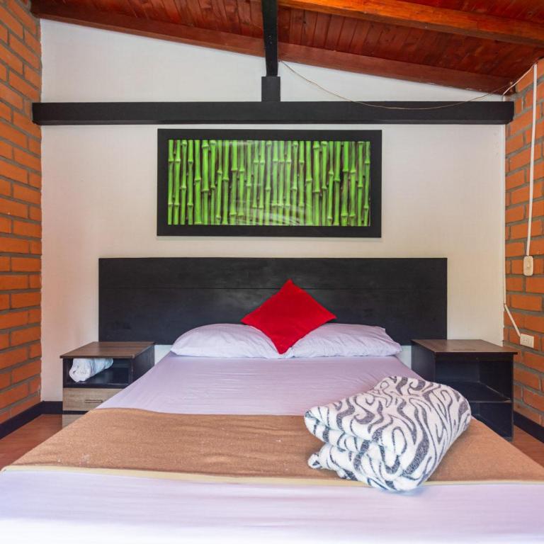 Finca Hotel Santo Tomas El Oasis - Habitación Doble - 6