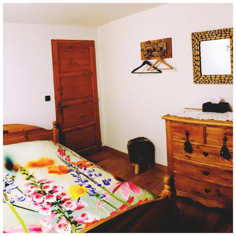 Le Petit Cœur parking gratuit idéal cyclistes proche alpe d'huez - Apartamento de 2 dormitorios - 13