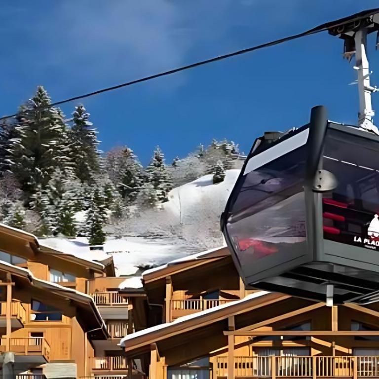 Rochette - Appartement 4 à 6 personnes au pied des pistes - Appartement avec Balcon - 21