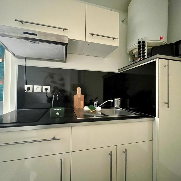 Small Studio in the Heart of Lille - Studio - 4