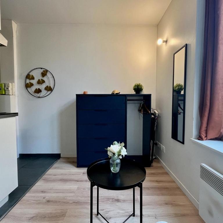 Small Studio in the Heart of Lille - Studio - 6