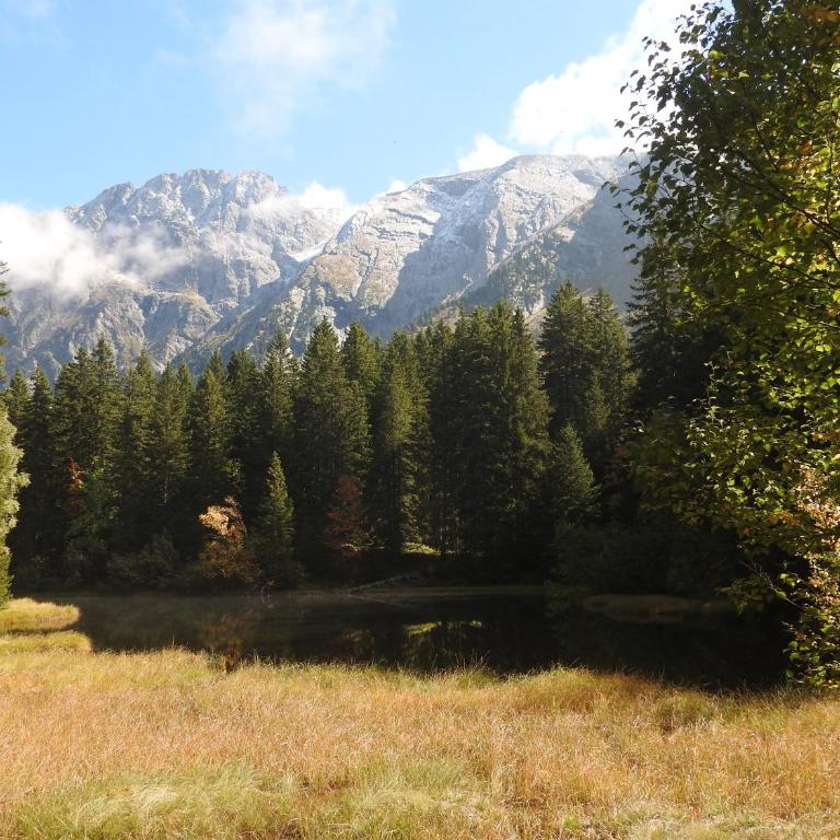 Gîte Au printemps Japonais, petit train de la Mure, parc des Ecrins - Maison 2 Chambres - 47