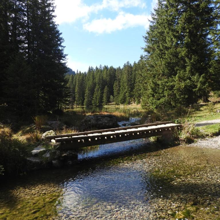 Gîte Au printemps Japonais, petit train de la Mure, parc des Ecrins - Maison 2 Chambres - 19