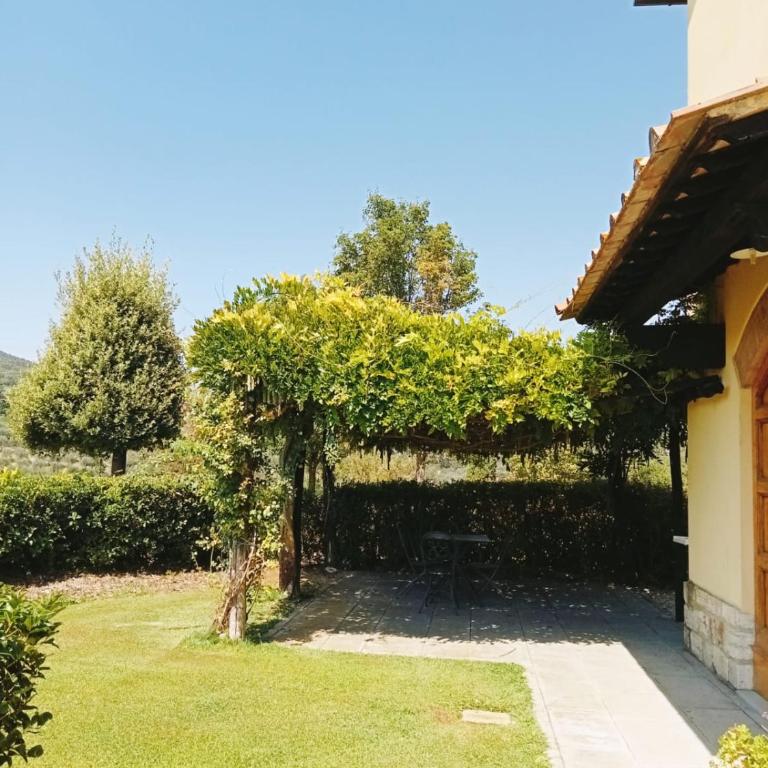 Agriturismo Raccianello - One-Bedroom Apartment Mimosa - 5