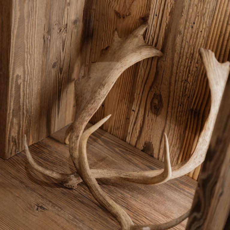 Luxury Chalet Black Mountain - 4BR, Sleeps 10, Fireplace, Mountain Views & Garden - Megève - Chalet - 5