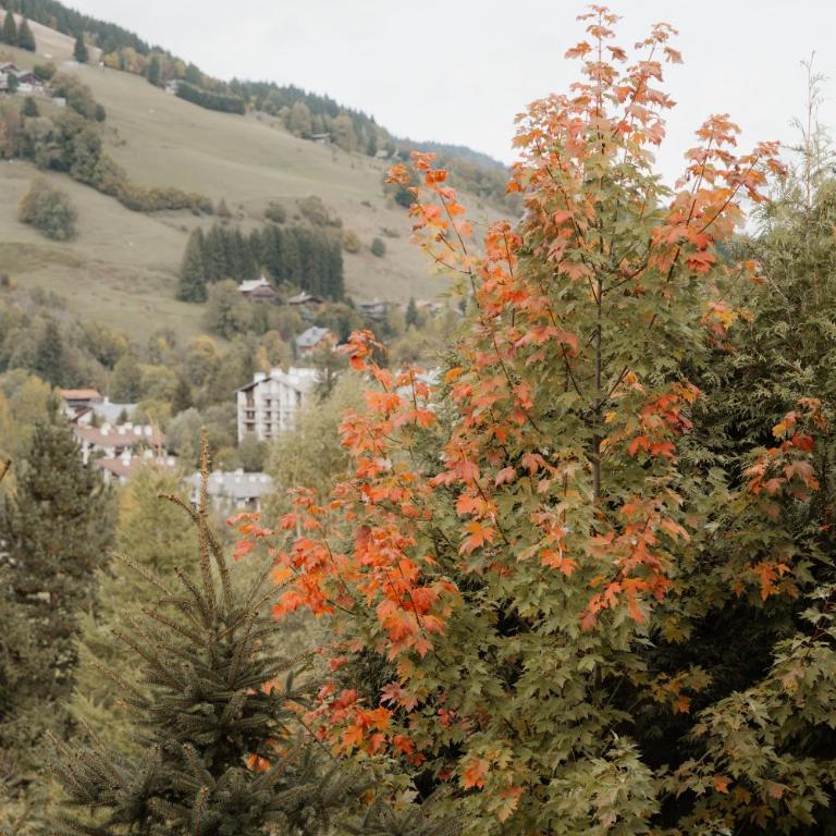 Luxury Chalet Black Mountain - 4BR, Sleeps 10, Fireplace, Mountain Views & Garden - Megève - Chalet - 13