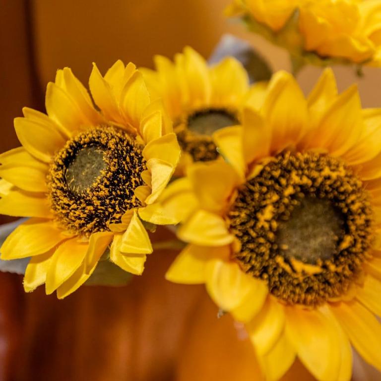 Apartment Mia - Apartman sa 1 Spavaćom Sobom - 24