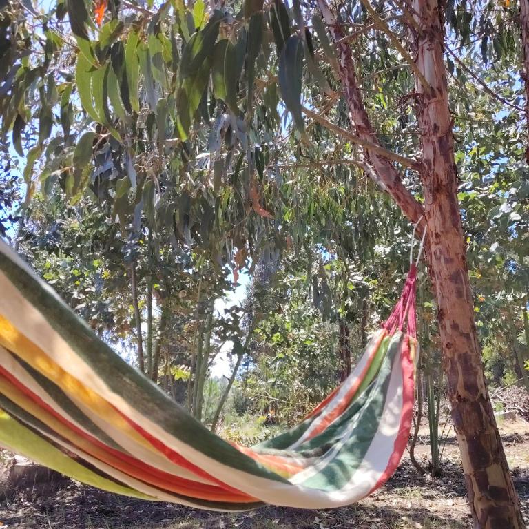 Cabañas Remanso de Matanzas - Casa de 2 dormitorios - 5