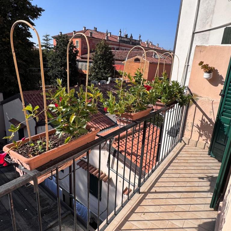Arena Suite Casa Ennio - Appartamento Deluxe con 1 Camera da Letto - 20