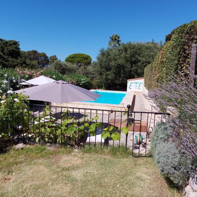 Mas Chamarel à Sanary-sur-Mer au milieu des vignes et oliviers - Villa - 14