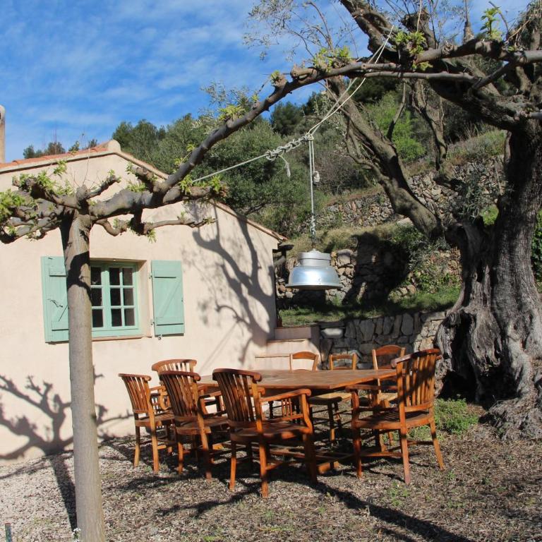 Mas Chamarel à Sanary-sur-Mer au milieu des vignes et oliviers - Villa - 22