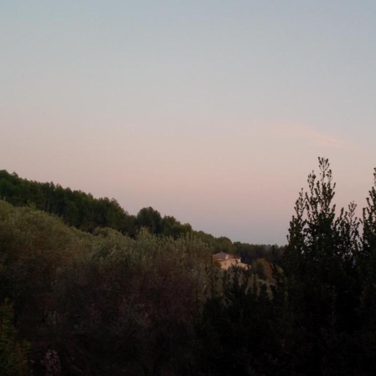 Mas Chamarel à Sanary-sur-Mer au milieu des vignes et oliviers - Villa - 24