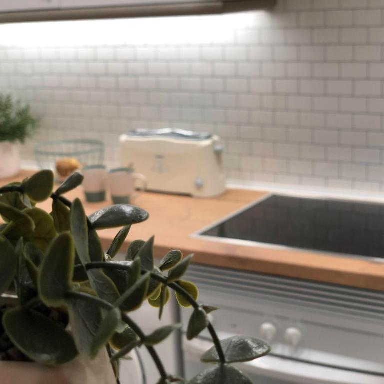 Aloha - Apartamento de 1 dormitorio - 19