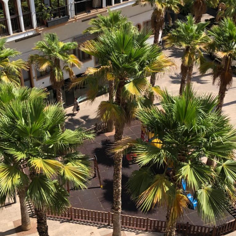 Aloha - Apartamento de 1 dormitorio - 21