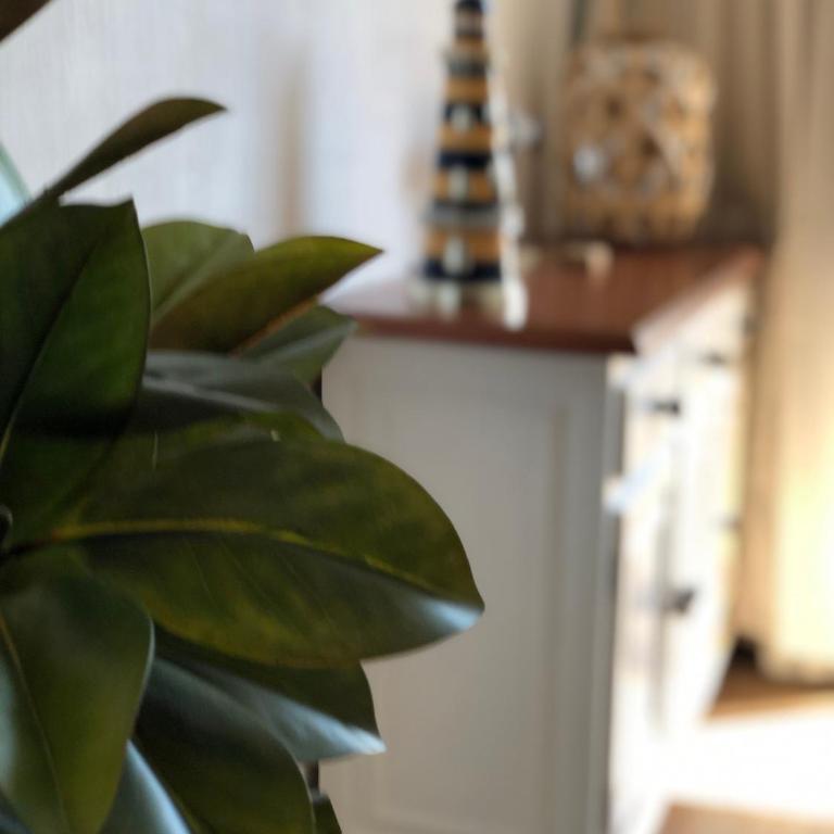 Aloha - Apartamento de 1 dormitorio - 22