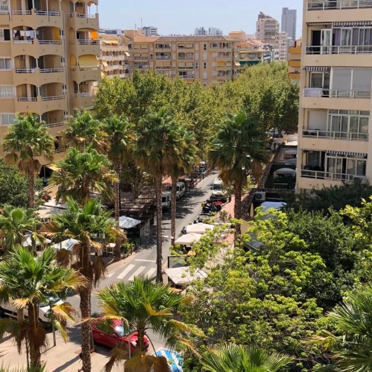 Aloha - Apartamento de 1 dormitorio - 47